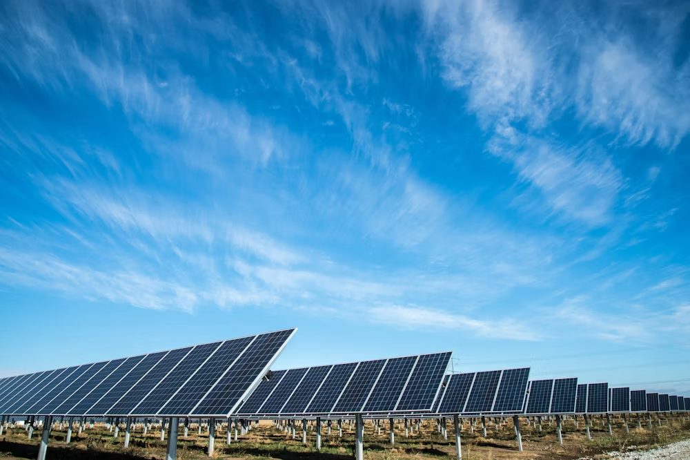 Longi Photovoltaik-Module